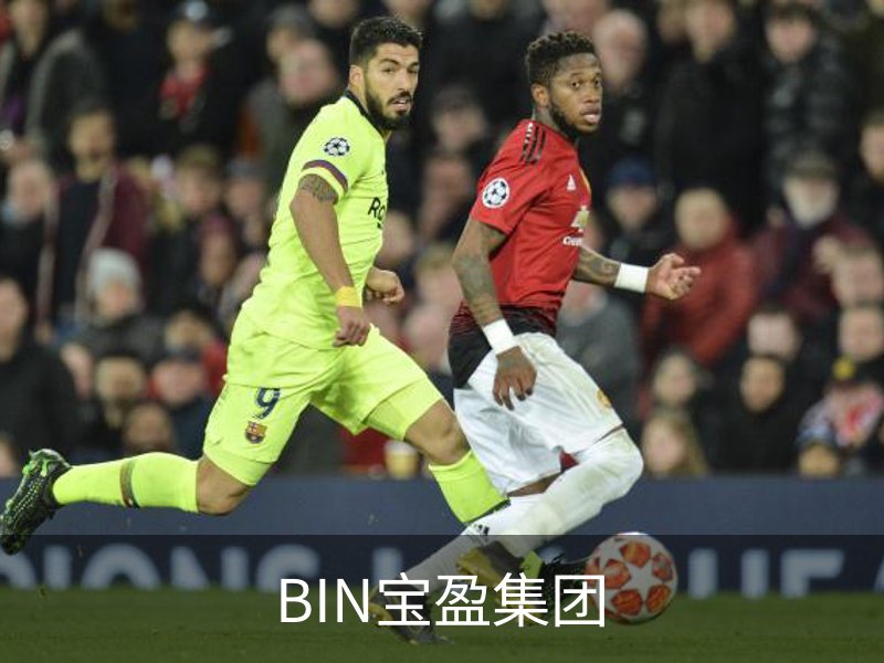 BIN宝盈集团简介